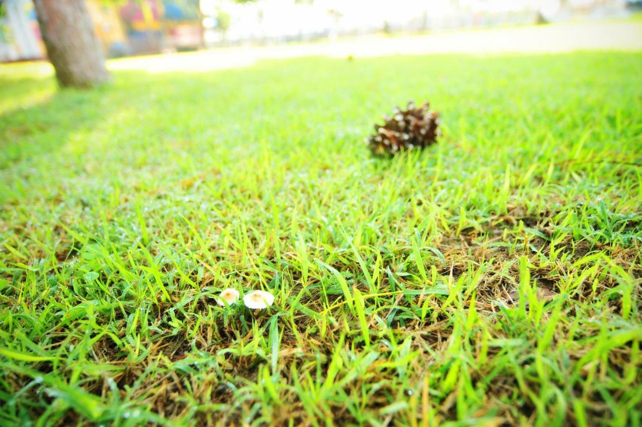 Sungbo Youth Hostel Mungyeong ภายนอก รูปภาพ